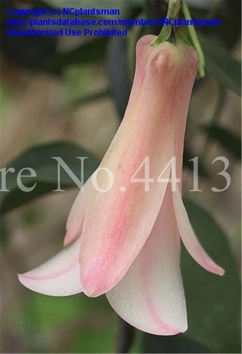 100 шт искусственный цветок |