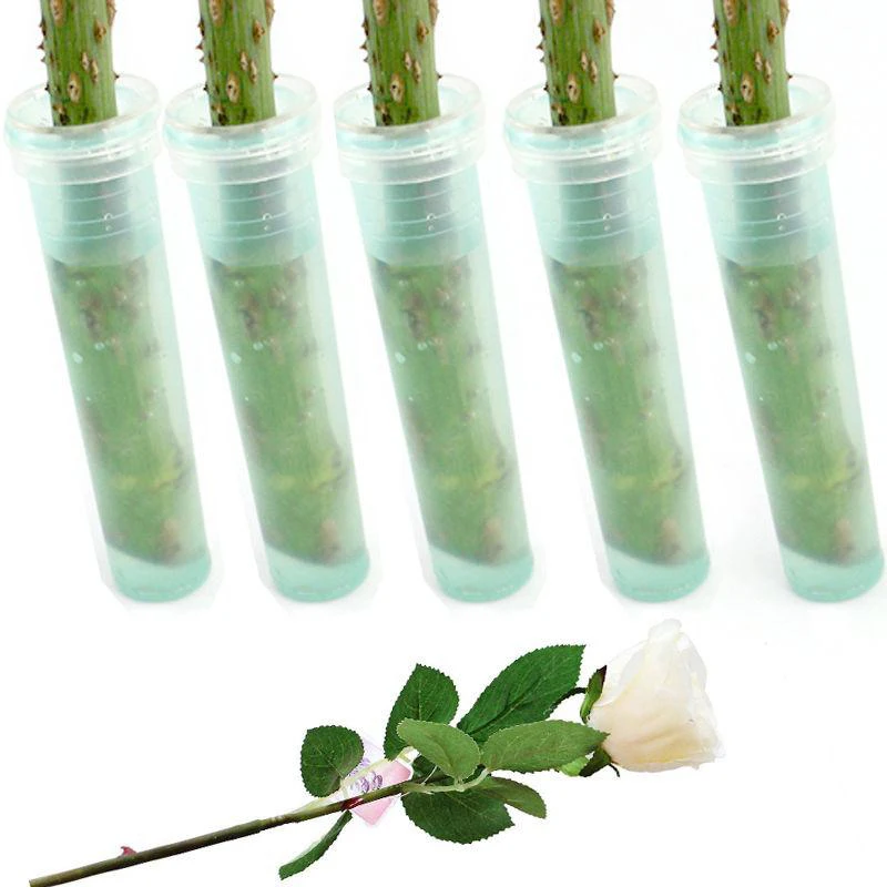 

100pcs Floral Water Tubes Plastic Flower Vials With Caps Clear Green Vials Milkweed Stem Cuttings Flower Arrangements