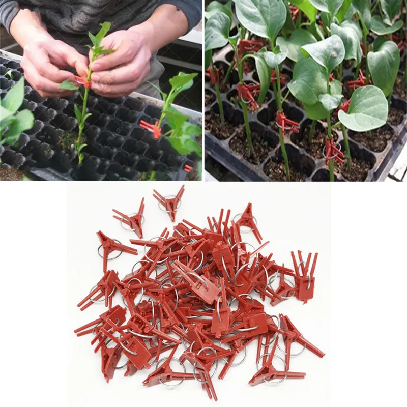 

50 PCS Durable Flower Cages & Plant Support Vegetable Plastic Metal Reusable Grafting Clips Agriculture Grafting Tools Supports