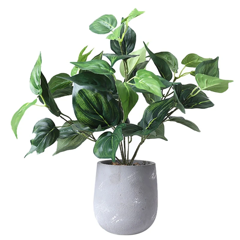 

Simulation Plant Cement Pot Turtle Back Leaf Potted Home Tv Cabinet Desktop Decoration Potted Simulation Plant Valentine's Day