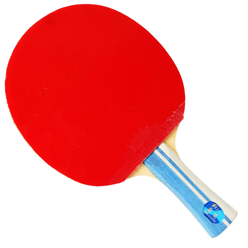 Hadou professional table tennis racket pimples in ping pong racket