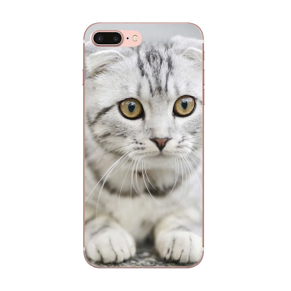 Мягкие чехлы с котенком черным котом животным для Xiaomi CC9 CC9E Mi 3 4 4i 5 детской 6 6X 8 9 SE