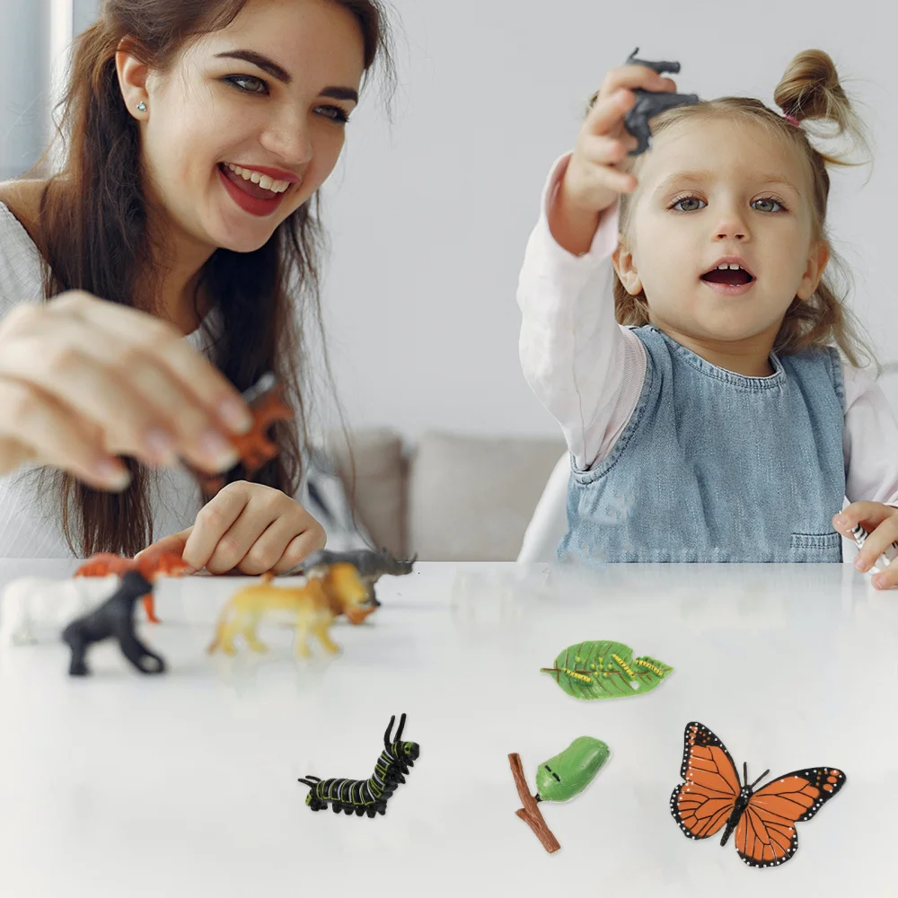 

4Pcs Insect Growth Cycle Kit Butterflies Growth Cycle Decoration