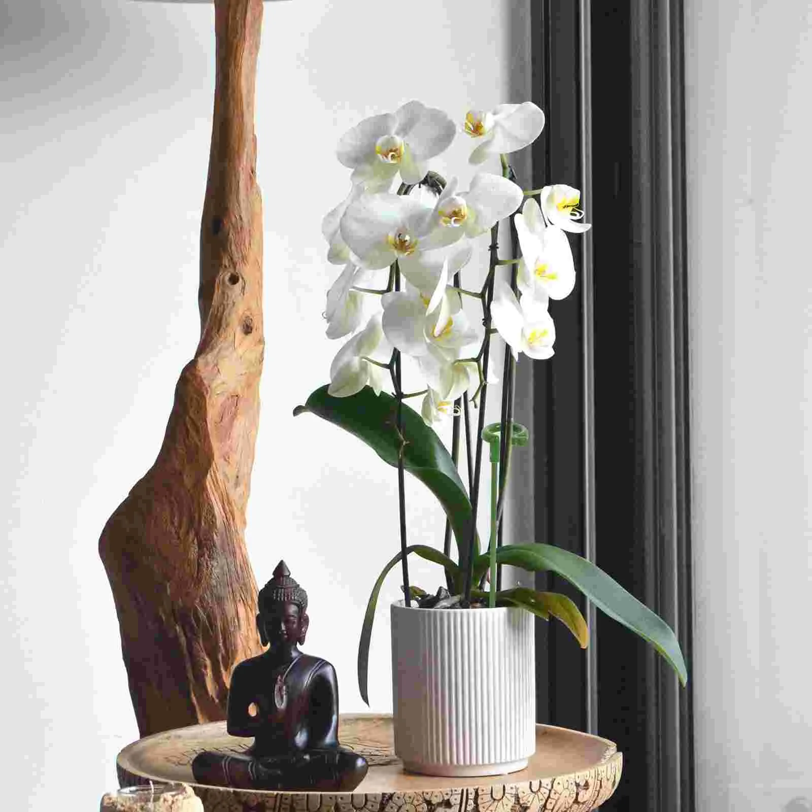 20pcs Plant Support Rack Potted Fixed Rods Butterflies Orchid Ring Holders | Cages & Supports