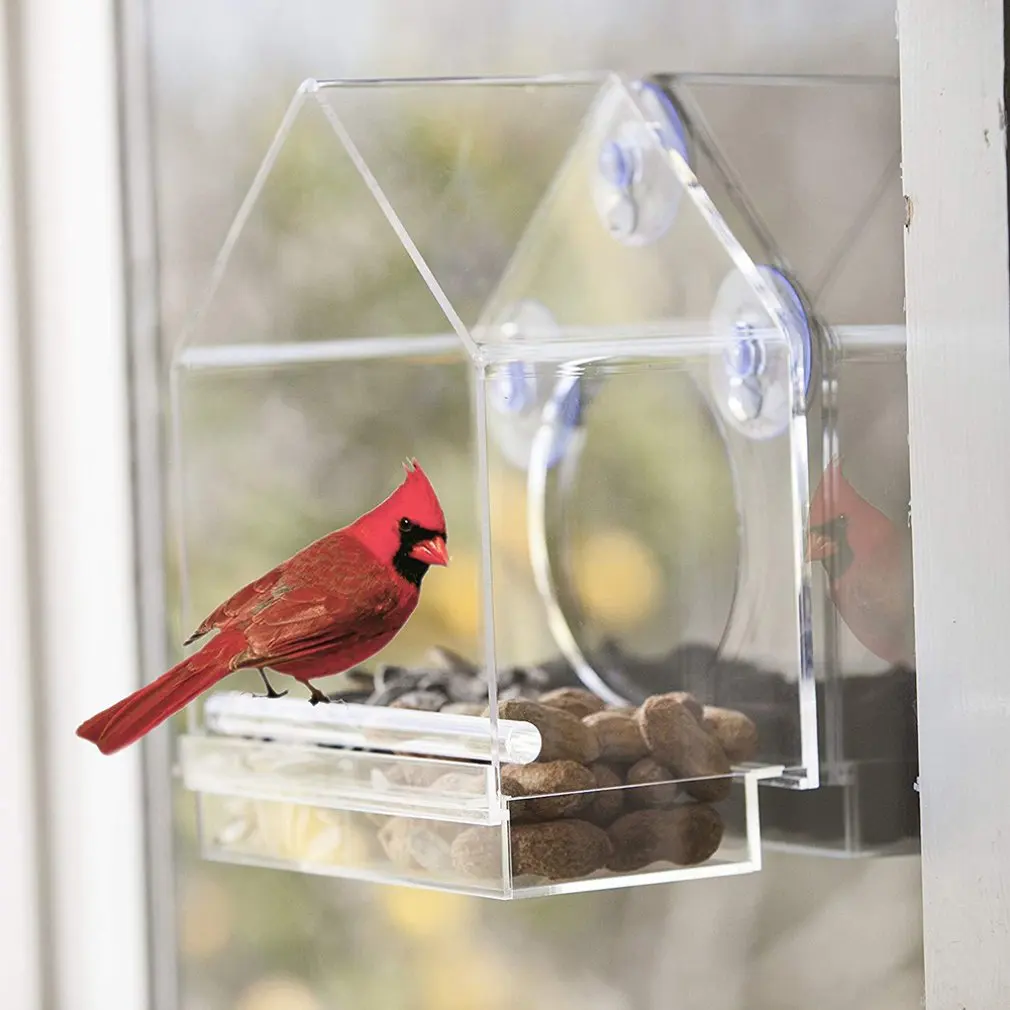 

Bird Feeder Acrylic Transparent Window Viewing Bird Feeders Tray Birdhouse Suction Cup Mount House Type Outdoor for Parrots