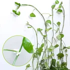 Настенный фиксатор для вьющихся растений, зажимы для крепления, 5 шт., самоклеящийся зажим для вьющихся растений