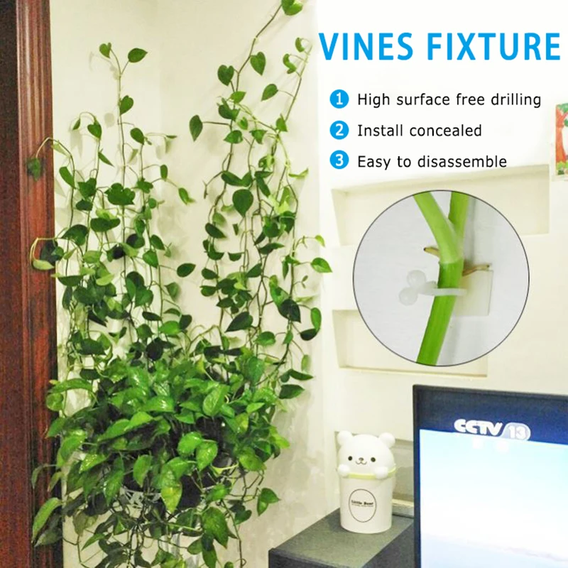 

50Pcs Plant Stent Supports Invisible Wall Rattan Clamp Clip Wall Vines Climbing Sticky Hook Fixing Clip Holder Plant gardening