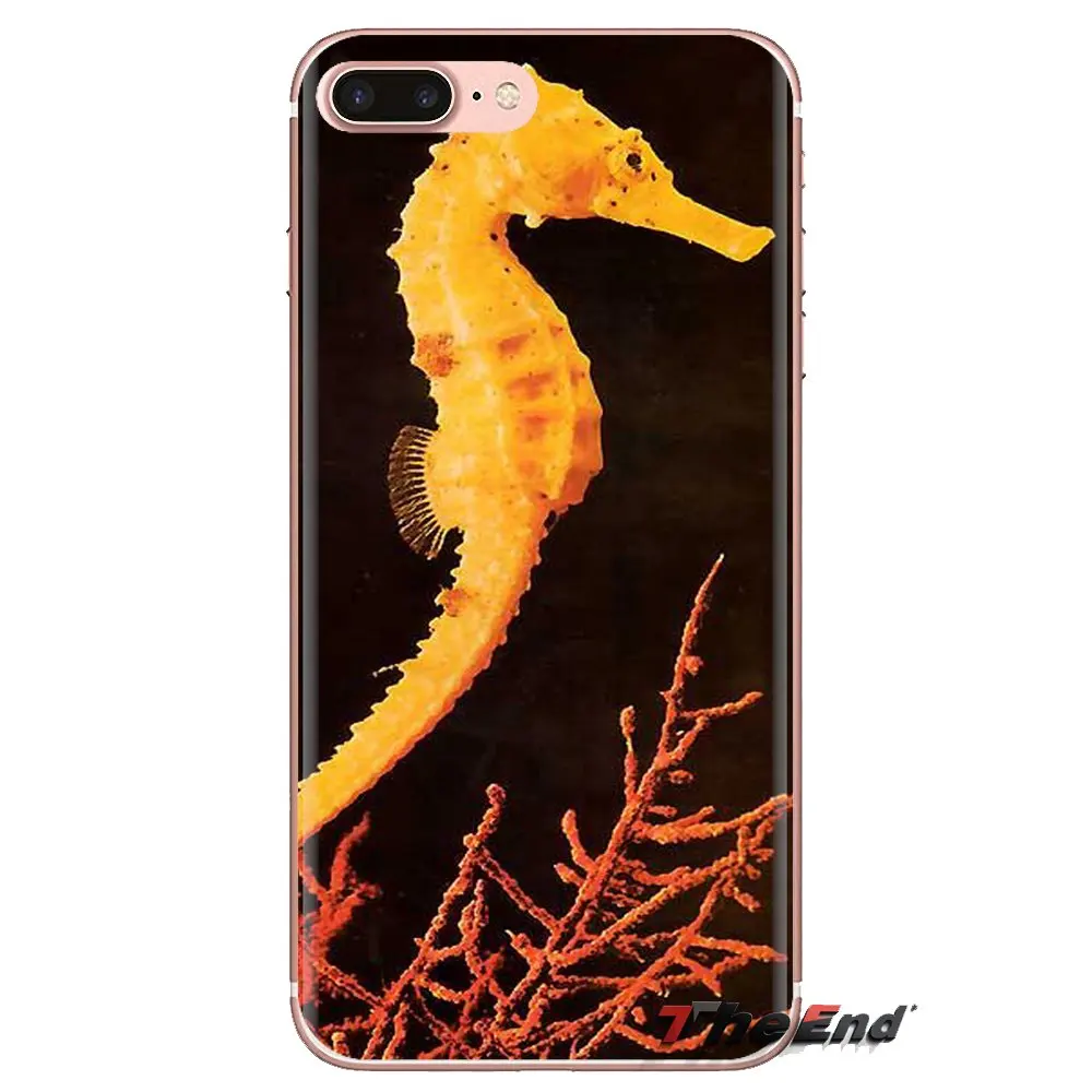 Для Samsung Galaxy A3 A5 A7 A9 A8 звезда A6 плюс 2018 2015 2016 2017 в виде морского конька радужной