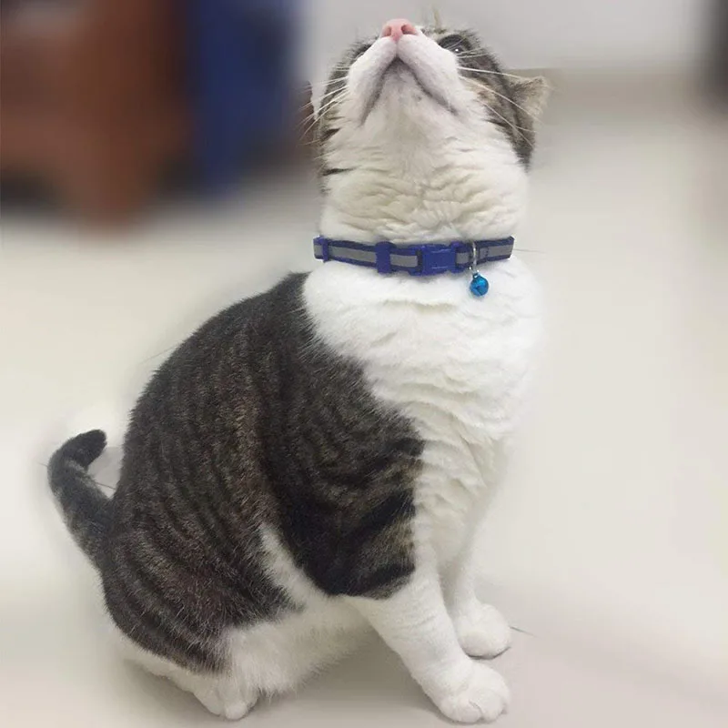 Светоотражающий ошейник для кошек с колокольчиком однотонный нейлоновый