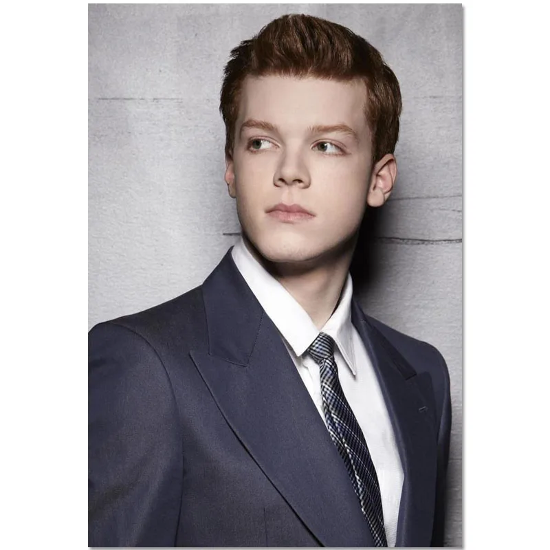 Модный классический на заказ постер Cameron Monaghan для рисования холсте домашний