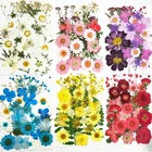 Настоящие сухие цветы сухие растения для свечей, ожерелье из эпоксидной смолы, сделай сам, аксессуары для скрапбукинга, маленький цветочный букет