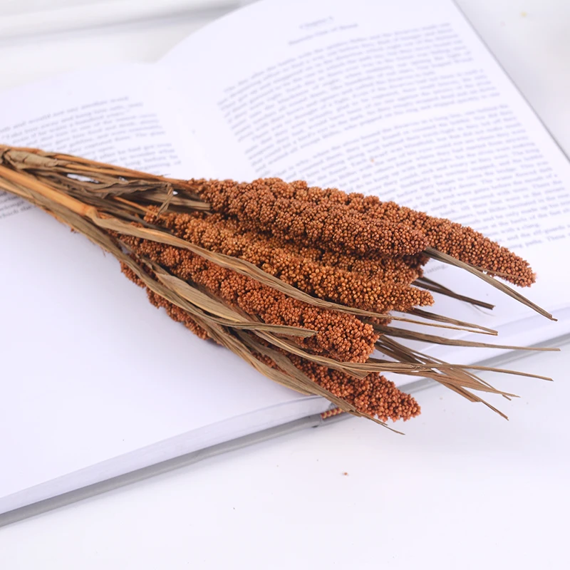 10 шт. Натуральные сушеные цветы зерно пшеничные уши букет Искусственные семья