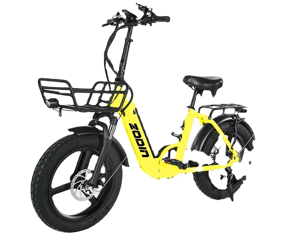 

Door to Door Bike Electric Bike Bicycle Electric Mountain Folding Ebike