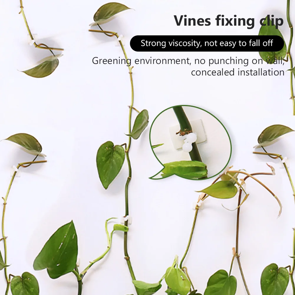 

Wall Sticky Vine Buckle Support Self-Adhesive Fastener Tied fixture Clip Fixed Buckle Plant Climbing Invisible Hook Garden 10pcs