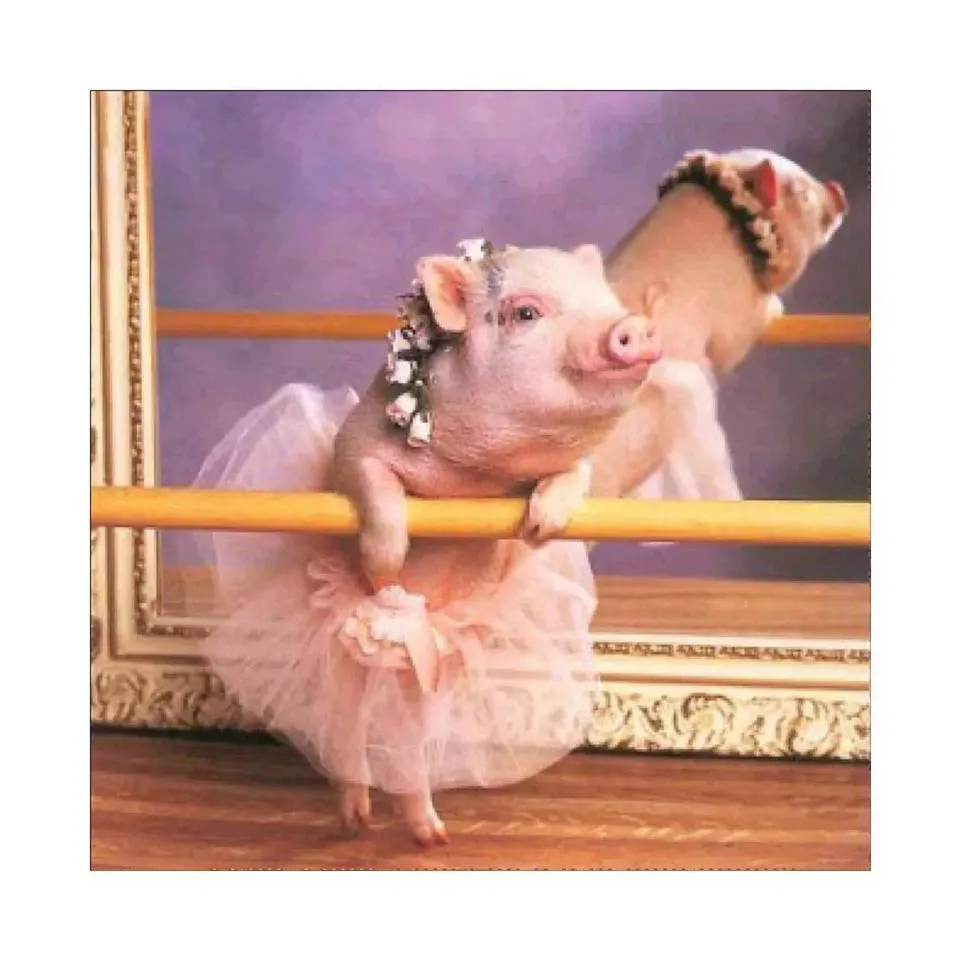 

5D DIY Diamond Painting Cross-stitch Kit Mosaic Embroidery "Animal Skirt Piglet" 3D Painting Full Square Diamond Home Decor Gift