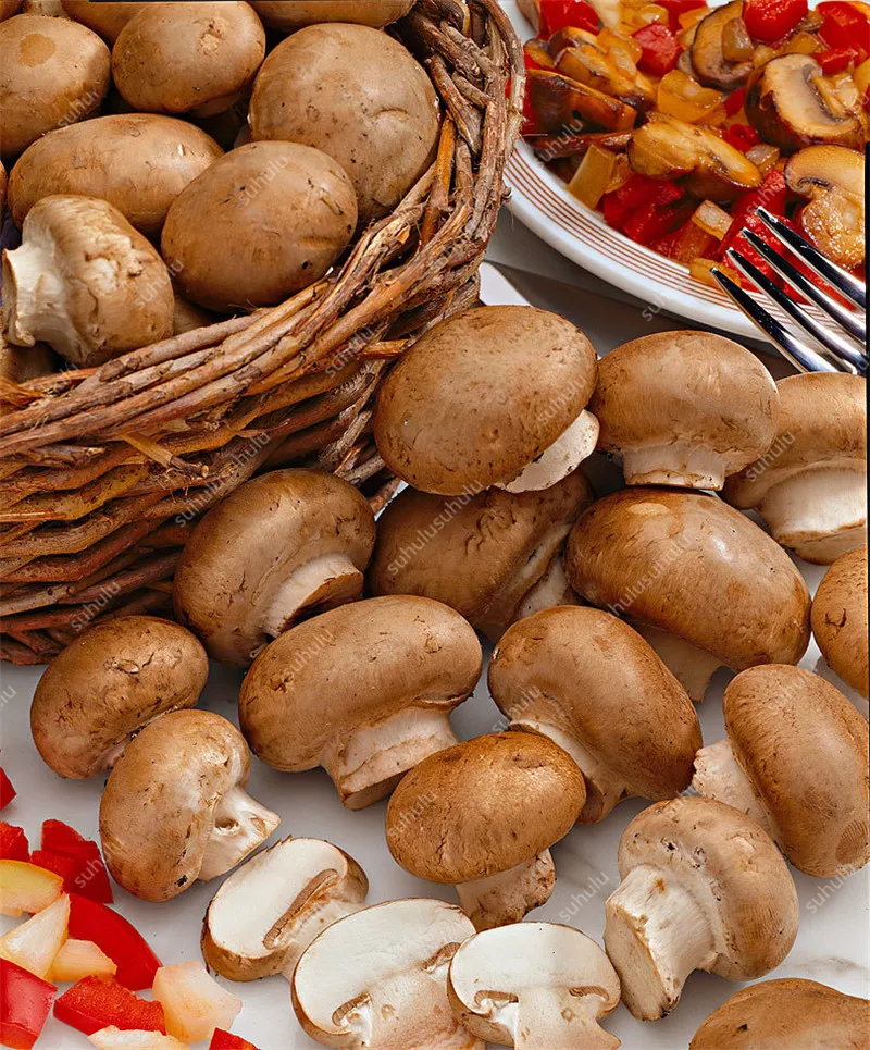 100 шт Искусственные грибы|Цветочные горшки и кадки| |