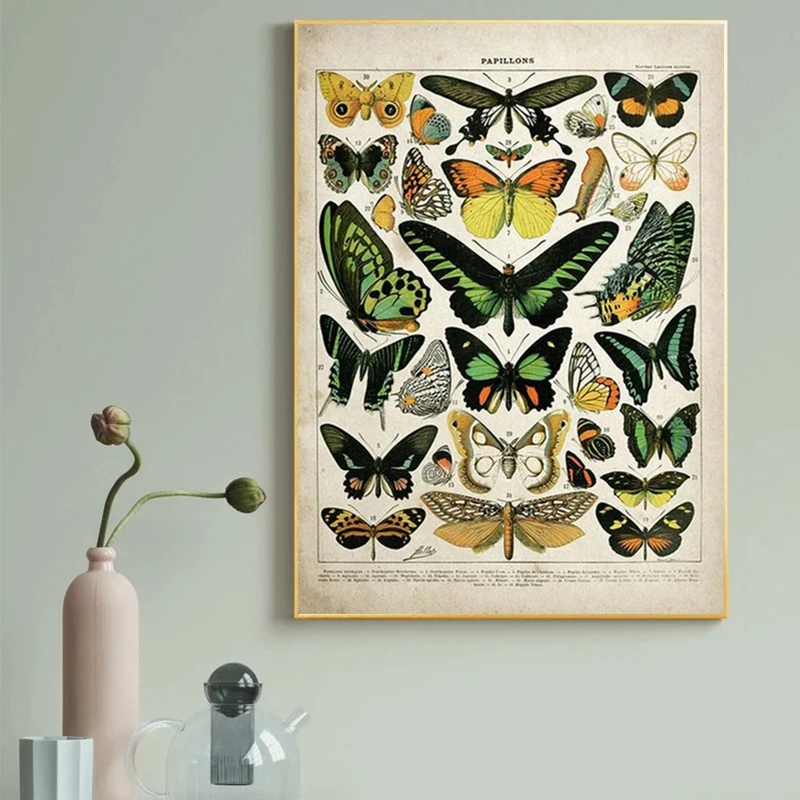 

Vintage Adolphe Millot Encyclopedia Posters Prints Butterfly Flowers Insect Canvas Paintings Wall Art Picture Home Decor Cuadros
