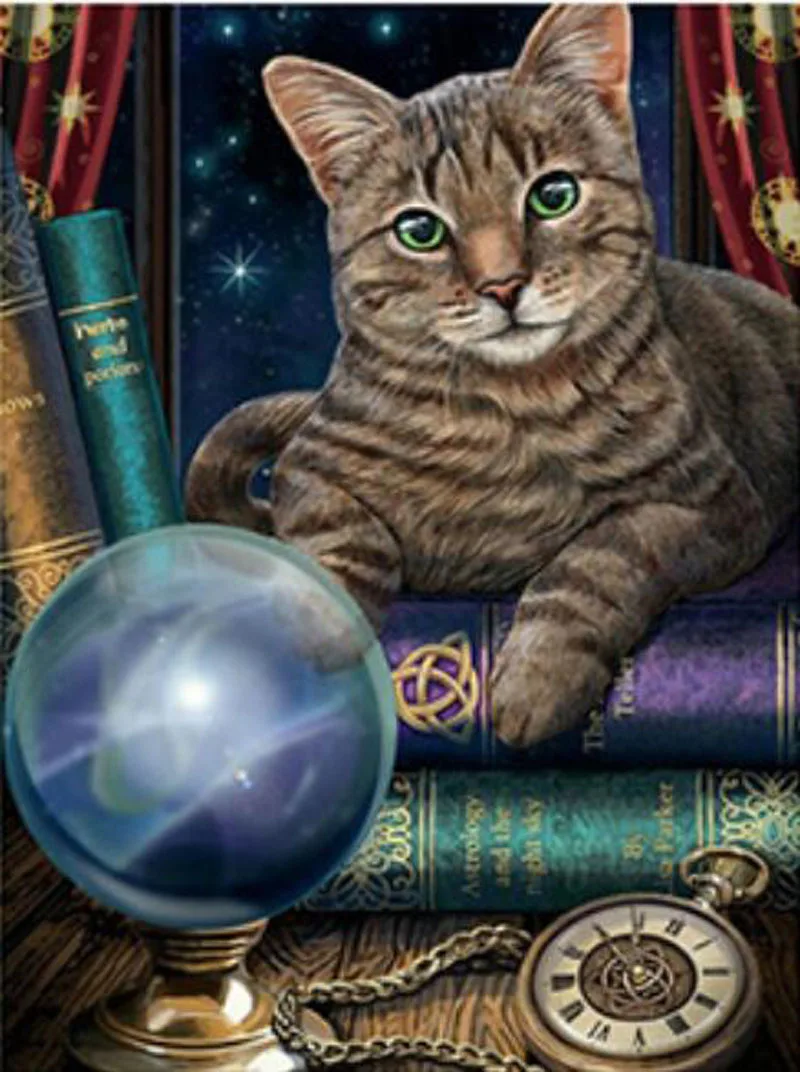 

5D Diy Diamond Painting Full Square Round Drill Magic Black Cat Mosaic Handmade Embroidery Cross Stitch Animal Home Decor