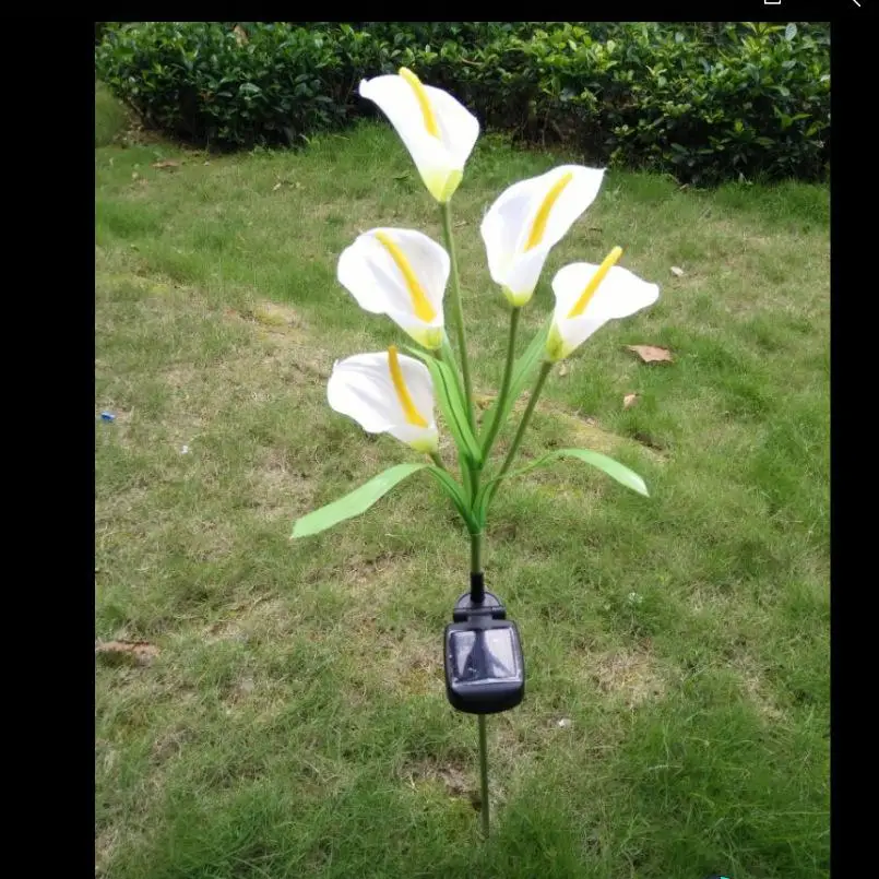 HiMISS 1 шт. Calla Lily Flower на солнечной батарее 5 светодиодов контактный светильник
