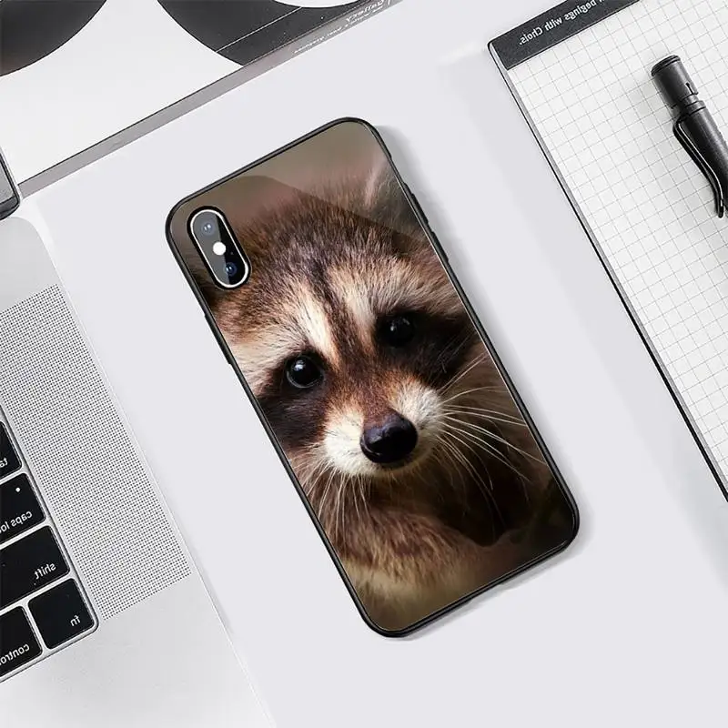 

Lovely animal Raccoon Phone Cases Tempered glass For iphone 5C 6 6S 7 8 plus X XS XR 11 PRO MAX