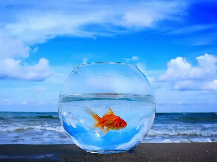 5D DIY Алмазная картина бутылка вышивка фотография пляж крестиком украшение дома