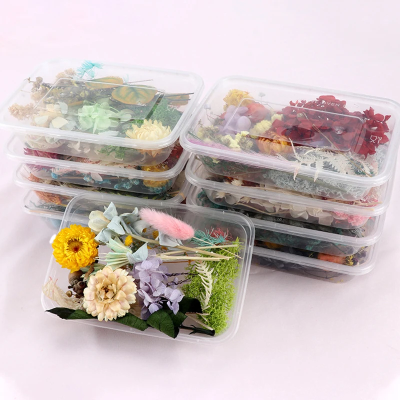 

Pressed Flower Mixed Dried Flowers DIY Art Floral Decors Collection Gift Craft DIY Home SLC88
