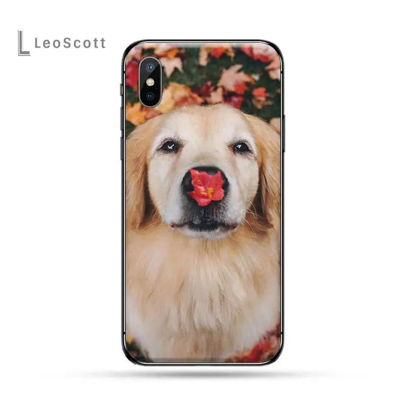 

Funny Golden retriever dog luxury Phone Case shell for iPhone 11 12 pro XS max Anti-fall cover 8 7 6 6S Plus X 5S SE 2020 XR
