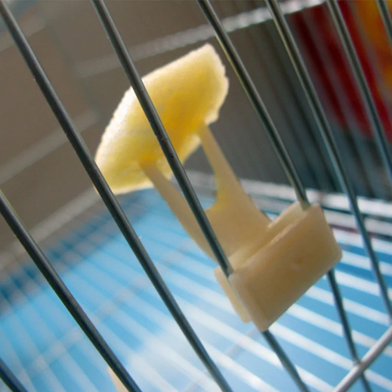 5 шт. пластиковые кормушки для попугаев|Игрушки птиц| |