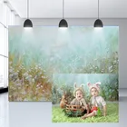 Avezano фоны для фотосъемки Весенняя Пасхальная живопись цветочный Новорожденный ребенок душ портрет вечевечерние фон фотостудия реквизит