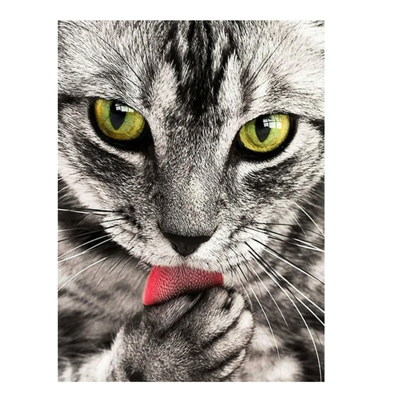 

5D Square Diamond Painting Cat Cross Stitch Kit Embroidery Rhinestone Home Decor Needlework