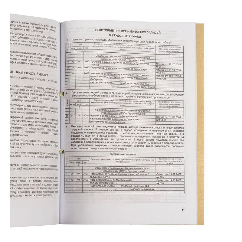 The Book of accounting for the movement labor books and liners to them 32 L stitching plobma PVC cover |