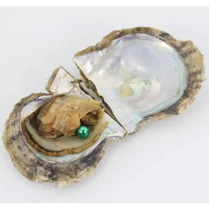 Стандартная доставка! Объемные 100 устрицы Akoya с круглым жемчугом 6-8 мм внутри