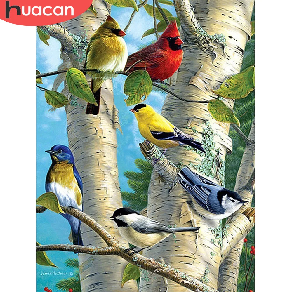 Алмазная вышивка huacan Bird полная круглая дрель Алмазная картина вышивка крестиком животные картина Стразы мозаика домашний декор