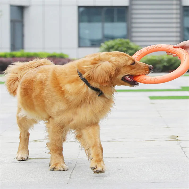 

Anti-stress Dog Toy Pet Rally Ring Grinding Teeth Cleaning Dog Toy Shepherd Labrador Interactive Training Toy Dog Supplie