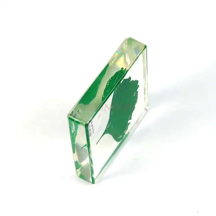 Сохранение образец растения смолы-встроенный Виниловый фон лист Твердый