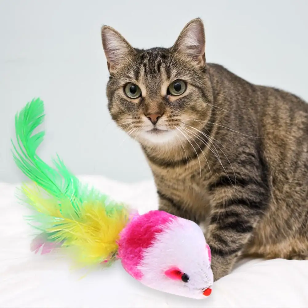 

6.5cm Funny Pet Kitten Cat Toys Playing Artificial Feather Mouse Rat Mice Ball Cage Cute Plush Toy Pet Accessories