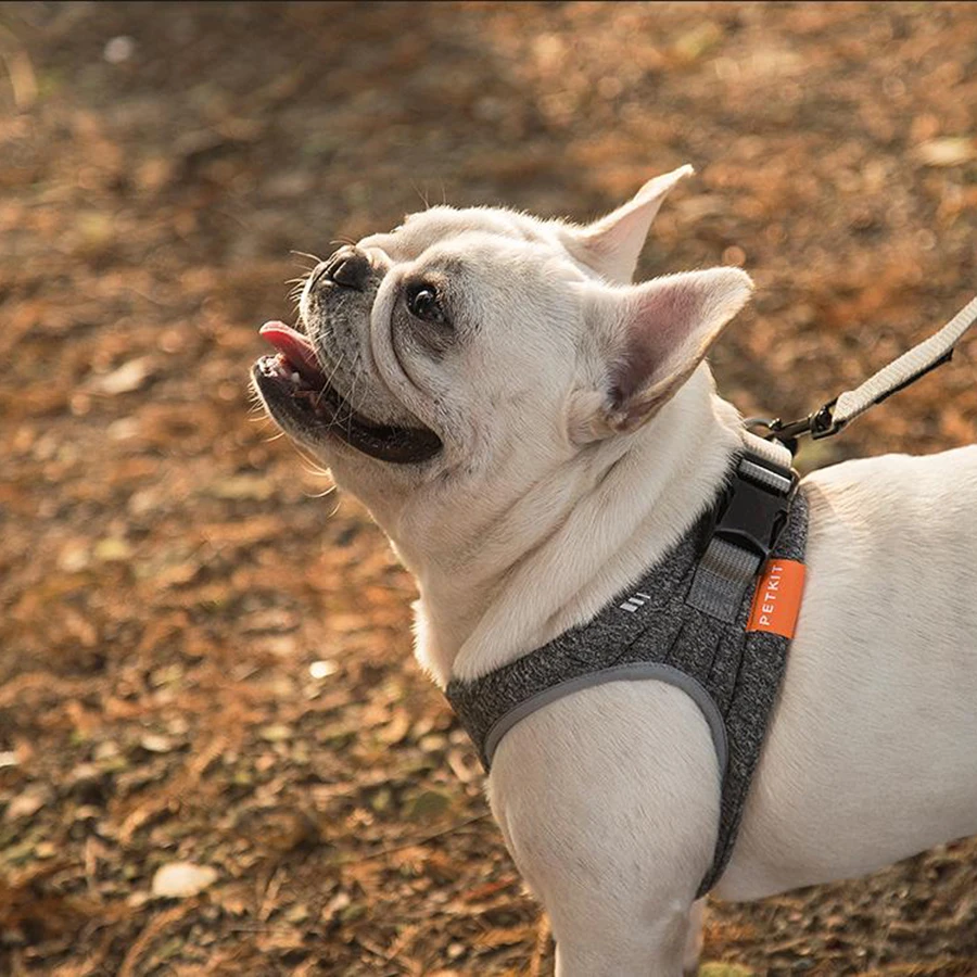 Индивидуальный жилет для маленьких собак Мягкий регулируемый роскошный мягкий