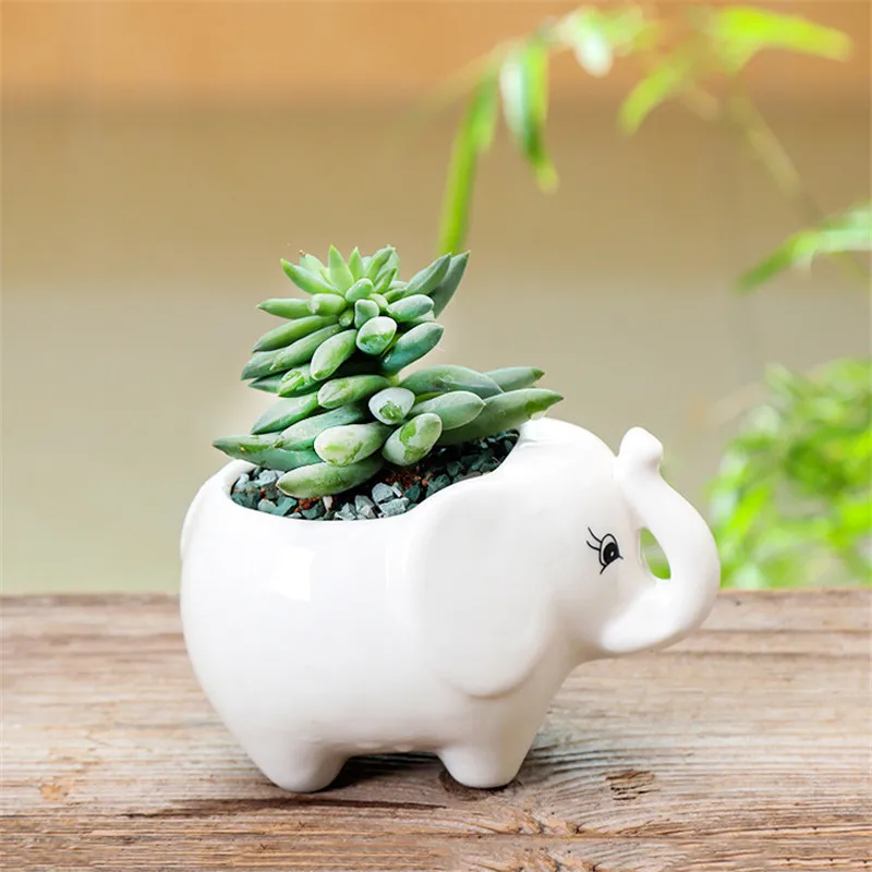 Европейский керамический горшок для растений в виде кактуса и бегемота