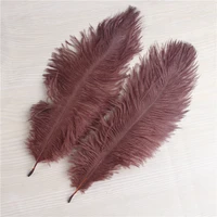 the new 10pcslot ostrich feather coffee 6 8 inches15 20cm craft dancers party celebration for feathers