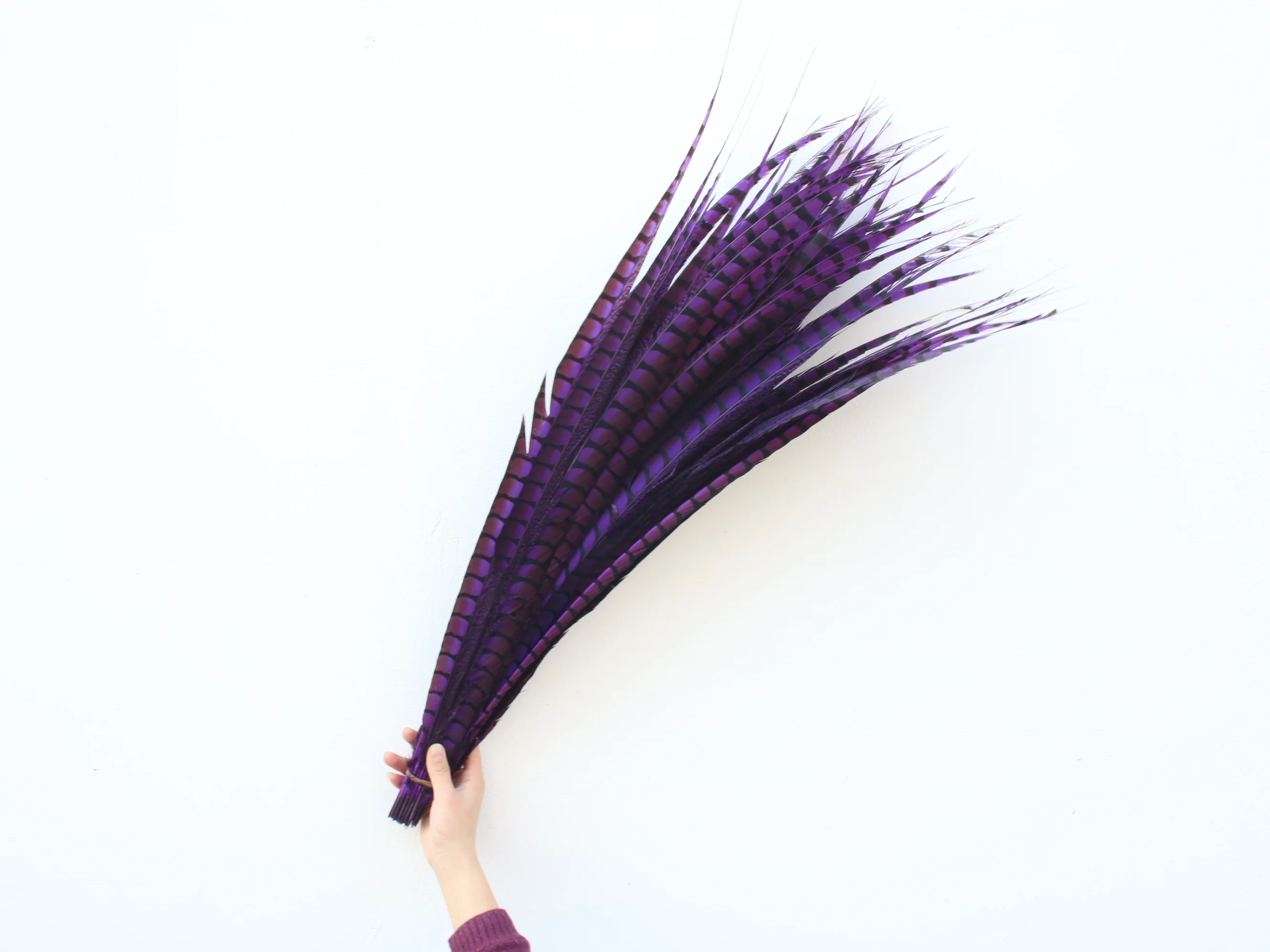 Высококачественные 50 шт./лот пурпурные леди амгерст фазан хвост перья для