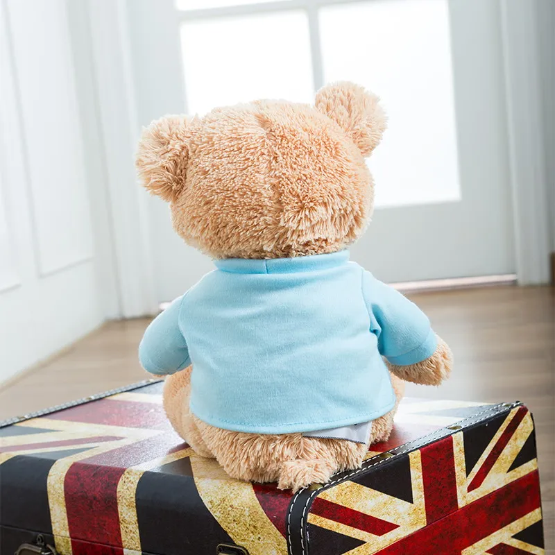 

It's a Girl / Boy Teddy Bear, 11