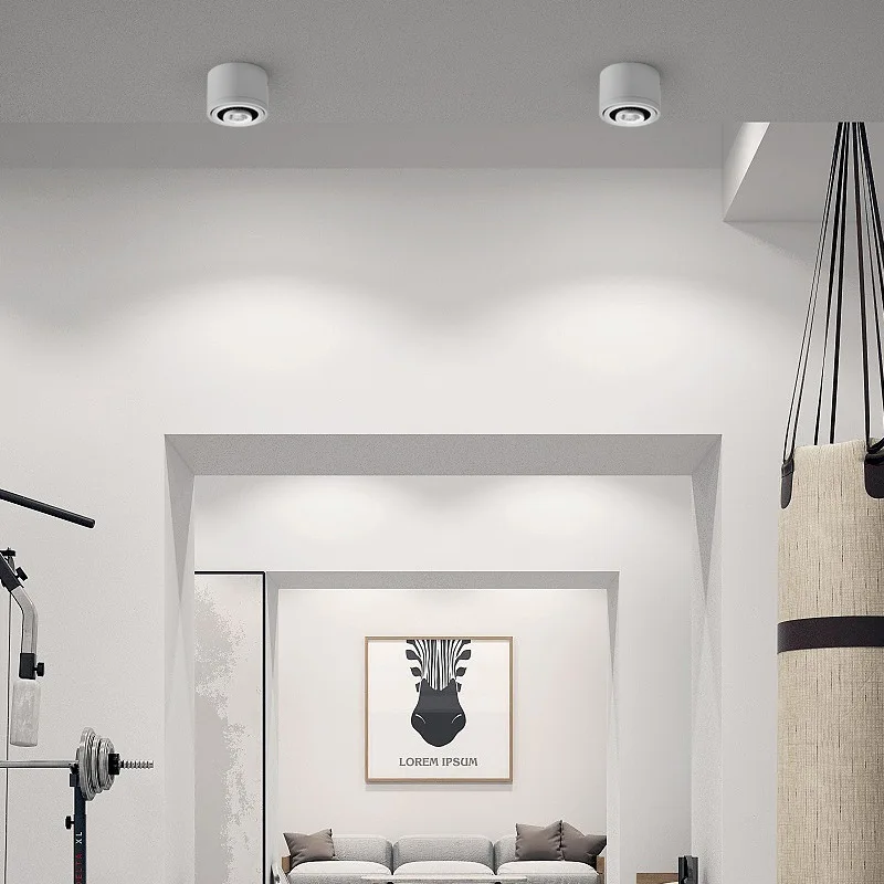 Lámpara LED montada en superficie regulable, foco LED COB, 5W/7W/9W/12W, foco de techo AC85V-265V con controlador LED, color blanco/blanco cálido