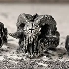 Мужское кольцо DIWENFU в виде бедер из натурального серебра 925 пробы