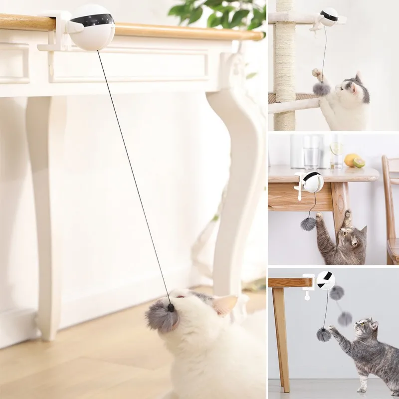 

Electric Lift Ball Cat Toys Household Pet Supplies Simple Funny Cat Toys Electric Lift Ball Cat Toys