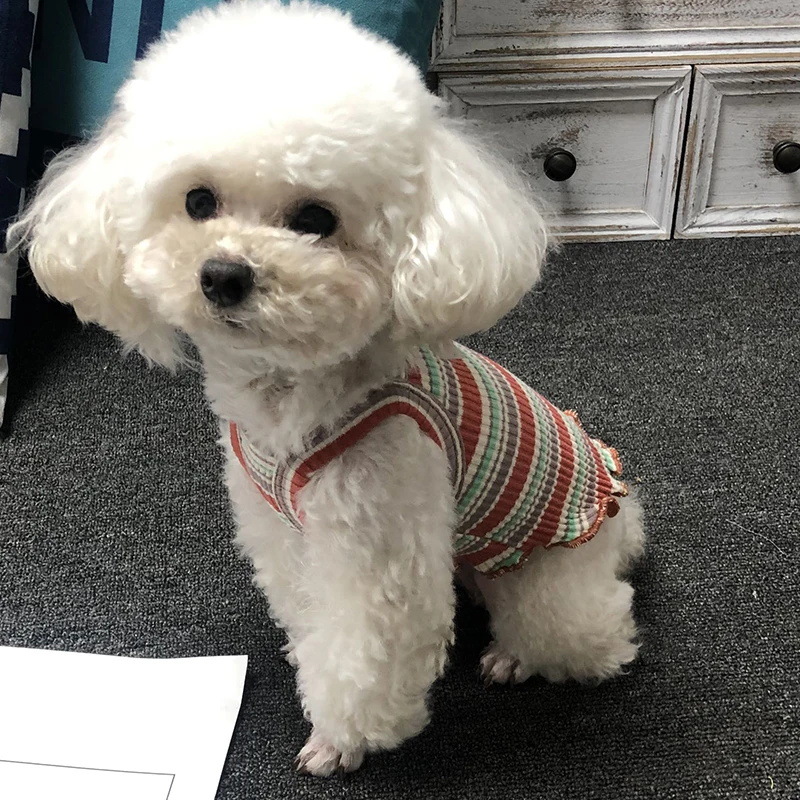 Милая одежда для домашних питомцев наряд маленьких собак мягкая кошек | Дом и сад