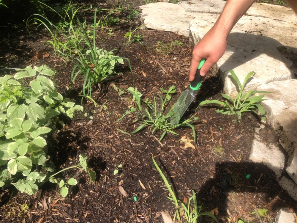 

Gardening Shovels Succulent Claw Tool Dig Mini Spatula Grow DIY Balcony Garden Tools For Flower Planting Harrow