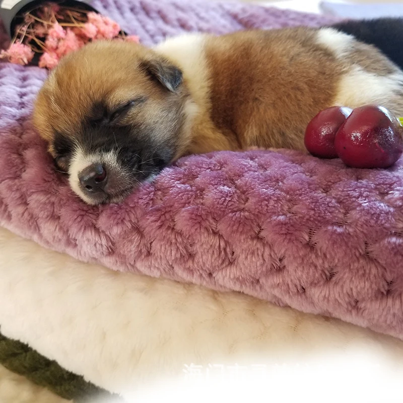 Новинка высокое качество кровать для собак и кошек одеяло домашних животных