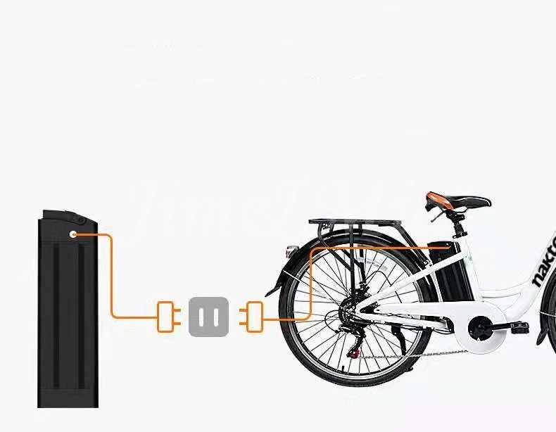 26 дюймов 36 V/250 W дамы Электрический велосипед из алюминиевого сплава средства ухода за кожей съемный литий-ионный аккумулятор cRetro Электрический bicycleity велосипед
