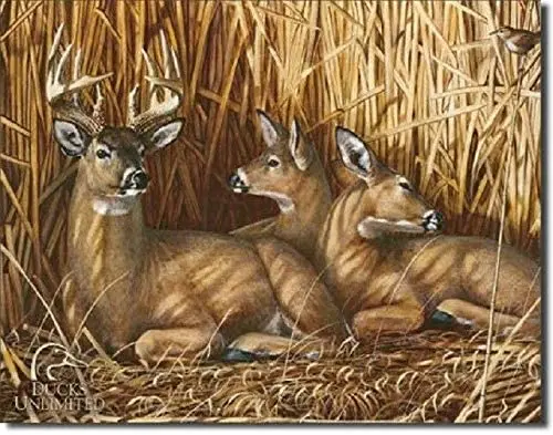 

Wall Decor Tin Sign Metal Signs Ducks Unlimited Deer Nesting Hunt Rustic Cabin Art 8x12in New Personalized