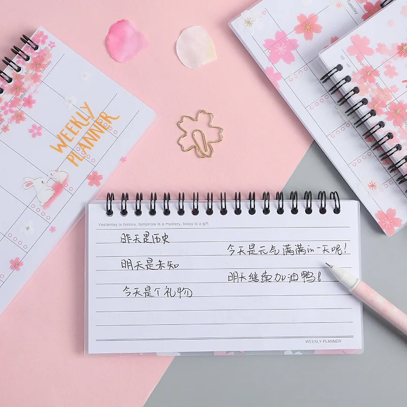 Животный кавайный планировщик блокнот катушка повестка дня 2019 креативный эскиз